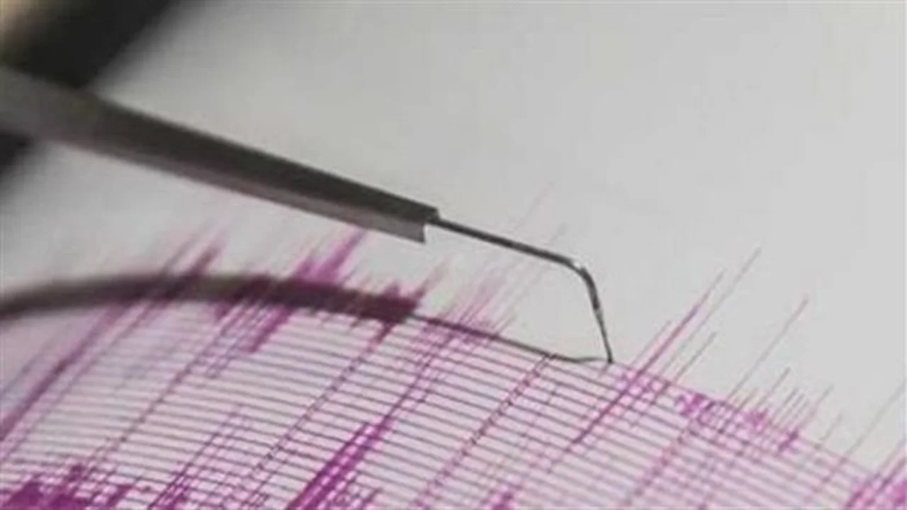 فوارق تقنية.. كيف نفرق بين الحجم المحلي ودرجة العزم الزلزالي؟